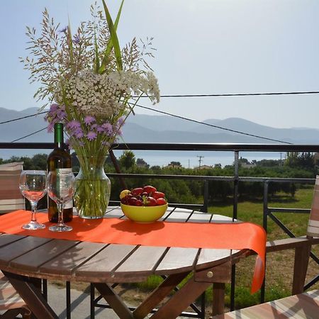 Lotus Sea View Apartments Ληξούρι Εξωτερικό φωτογραφία