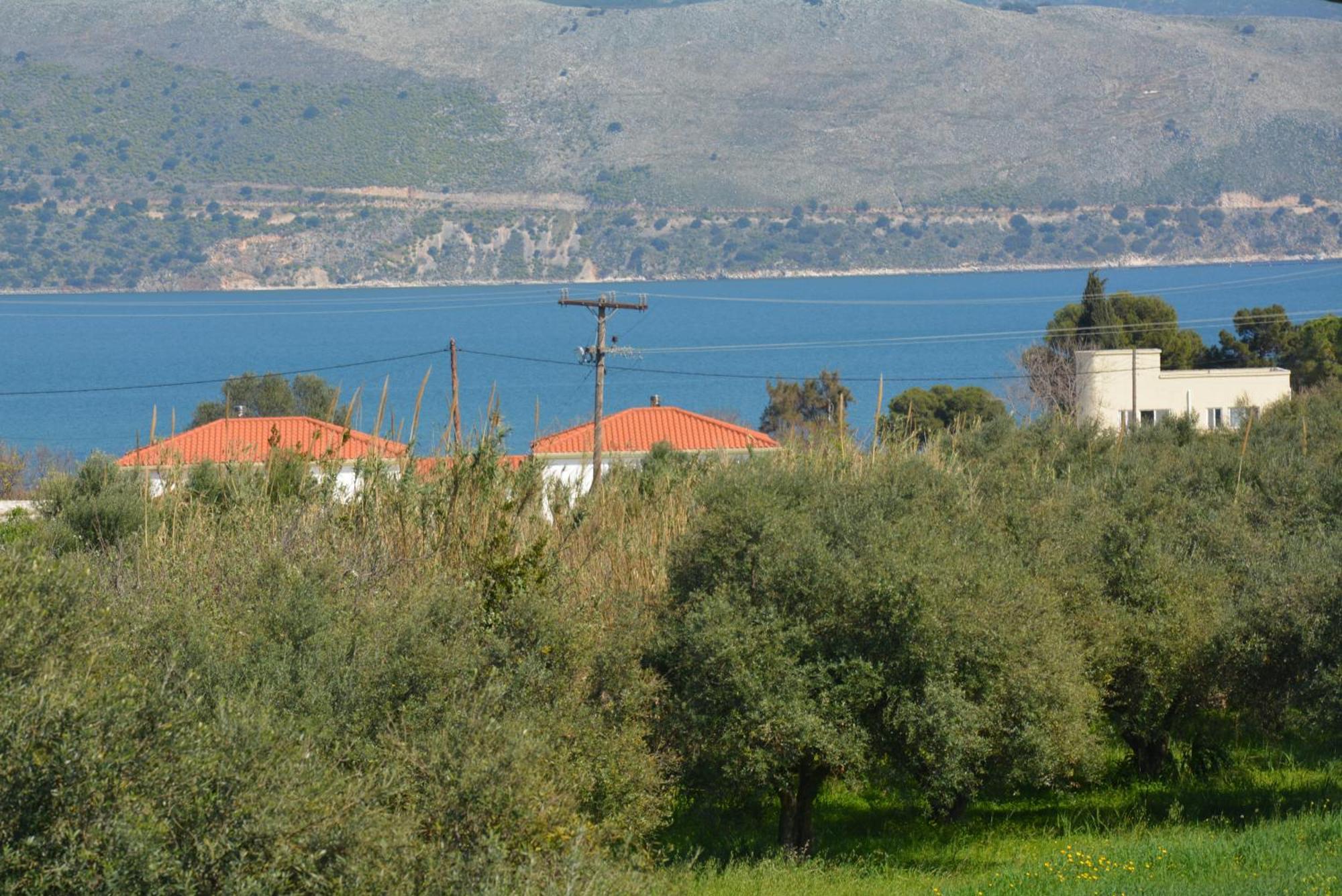 Lotus Sea View Apartments Ληξούρι Εξωτερικό φωτογραφία